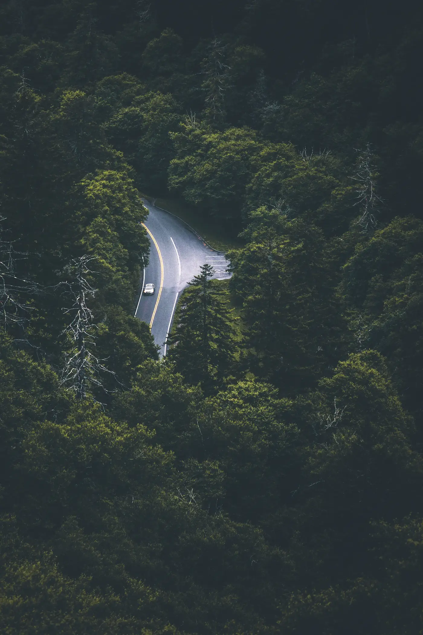 Aerial view of a road through dense forest