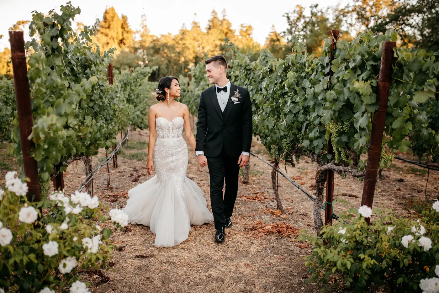 Couple walking through a vineyard