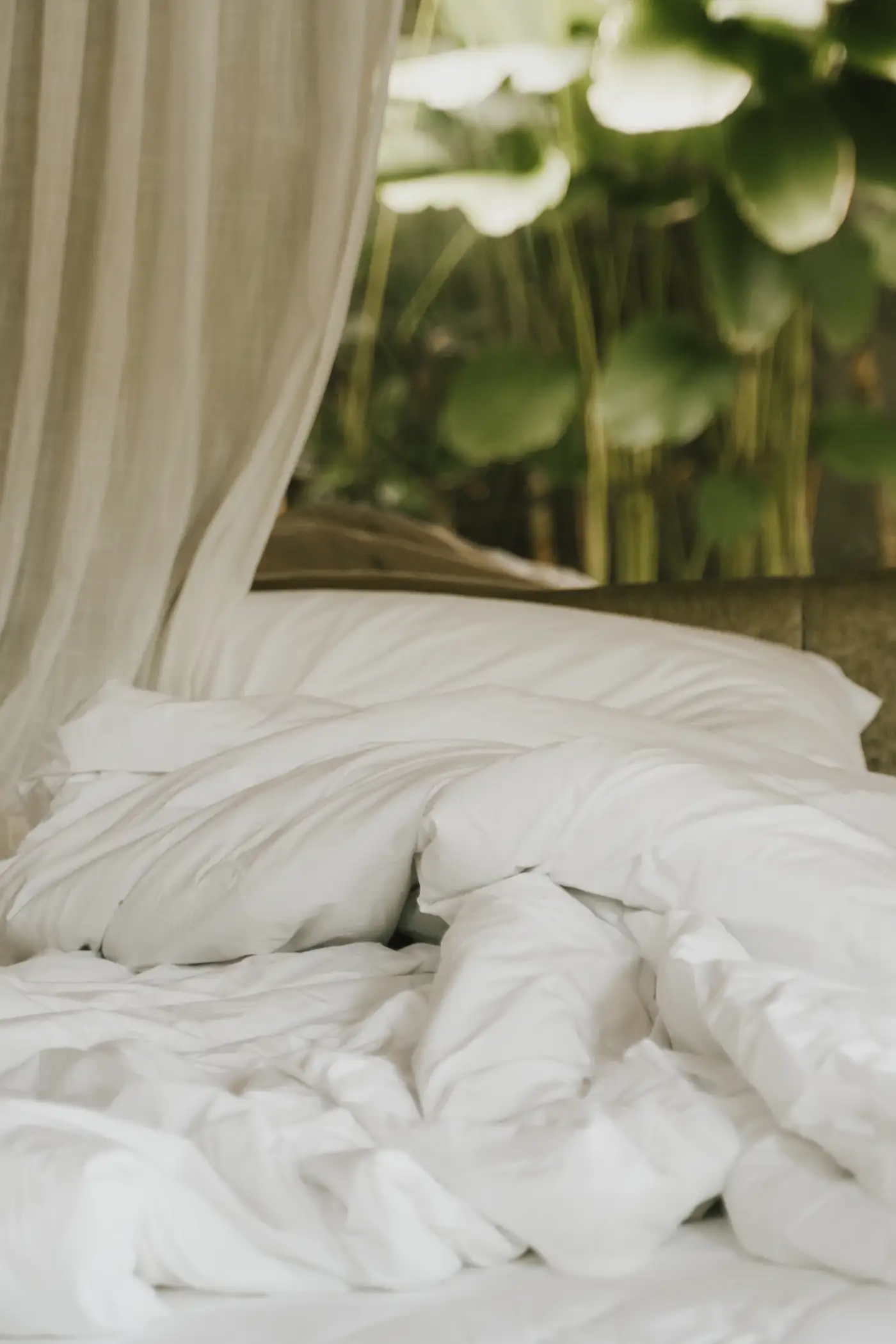 White bed under a mosquito net